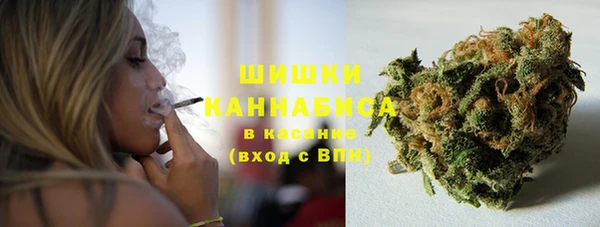 стаф Зеленодольск