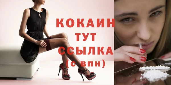 стаф Зеленодольск