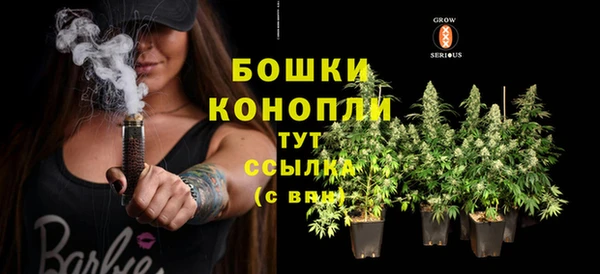 стаф Зеленодольск